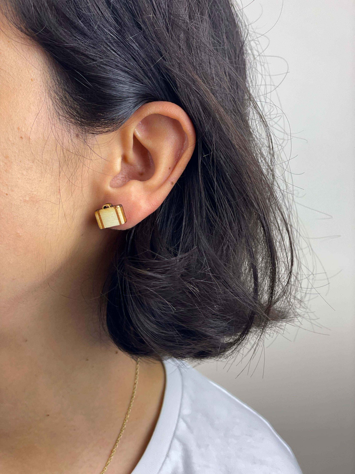 Earrings: Plane and Luggage