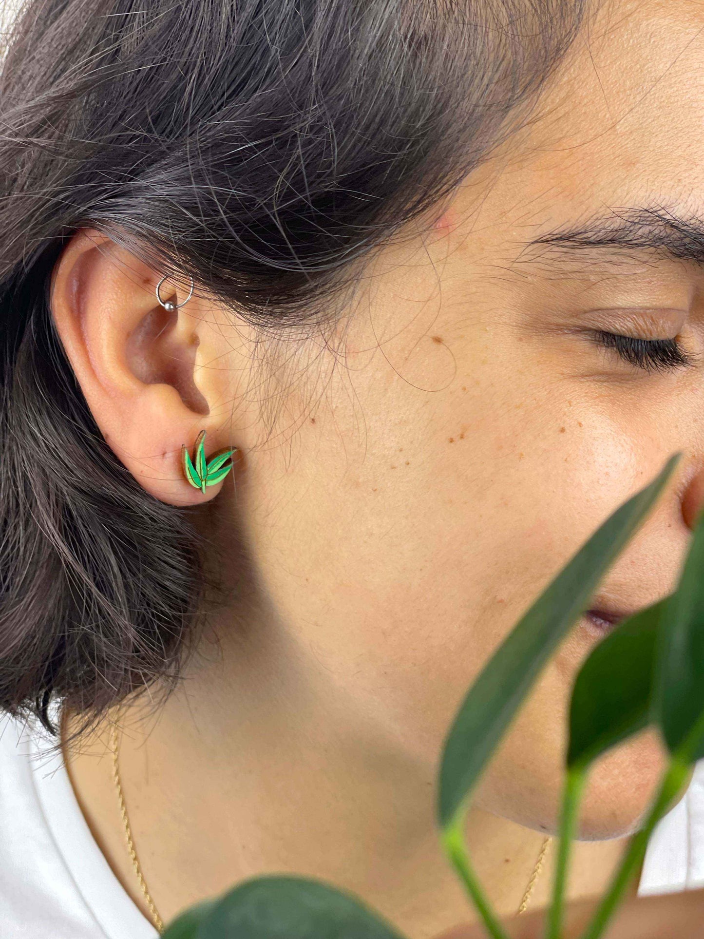 Earrings: Koala and Eucalyptus