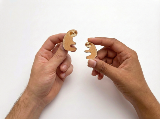 Paired Brooches: Soths