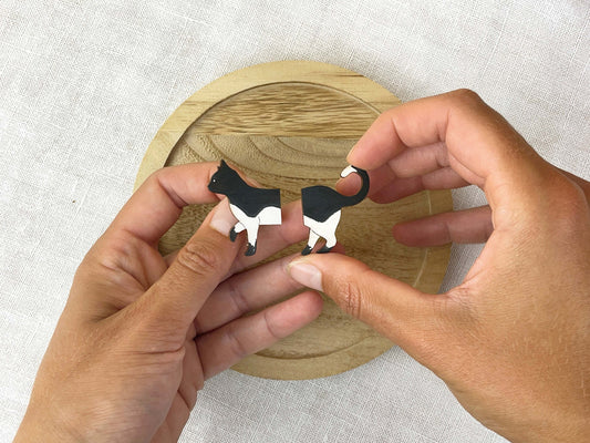 Paired Brooches: Splitted Cat