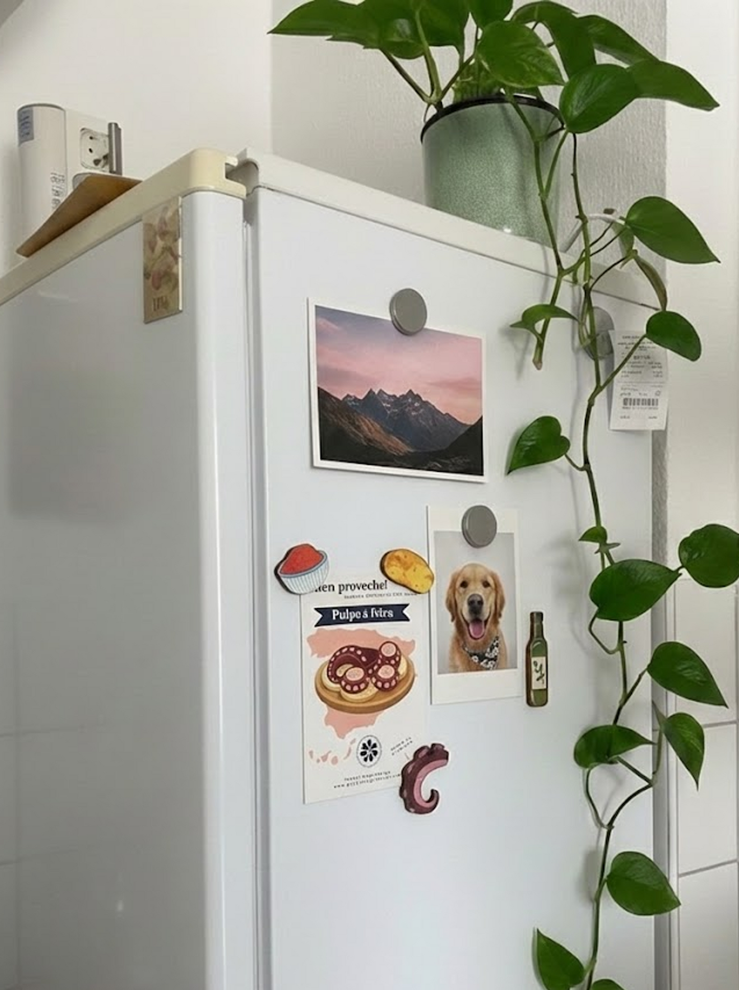 Magnets set: Spanish Recipes