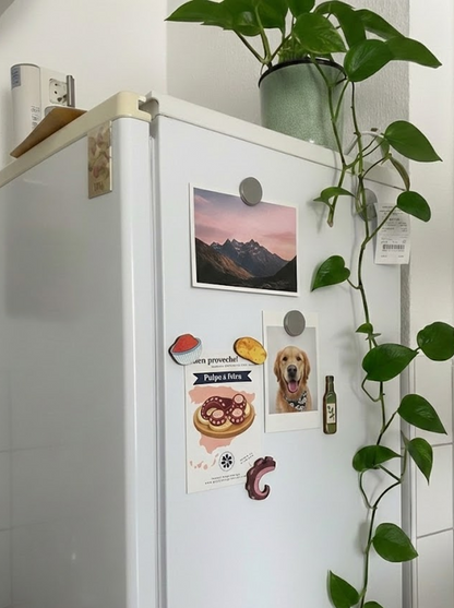 Magnets set: Spanish Recipes